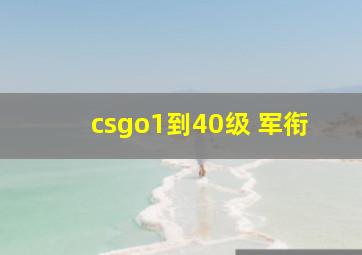 csgo1到40级 军衔